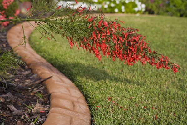 Brick Edging in Castle Rock
